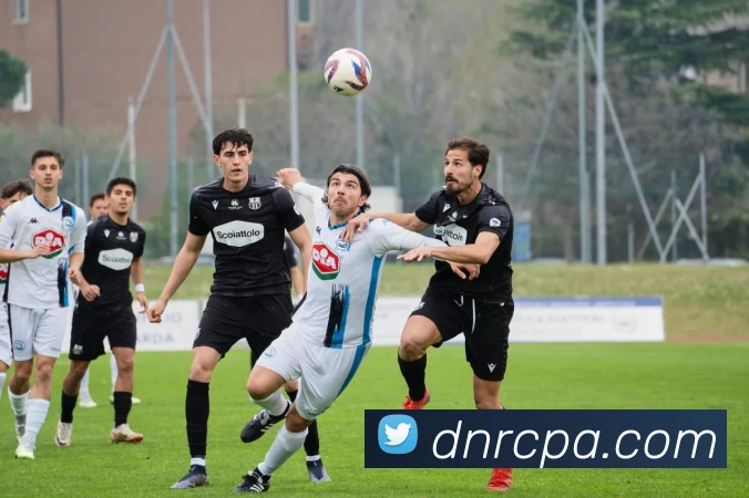 pa视讯APP 封面图